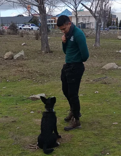 adiestrador canino en villalba