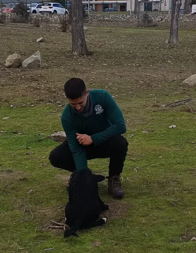 adiestrador canino madrid