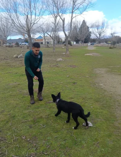 Adiestrador canino en Moralzarzal realizando una sesión de adiestramiento a domicilio con un cachorro en un entorno natural.
