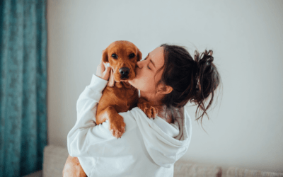 Cómo decir te quiero a tu perro