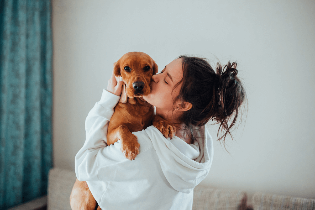 como decirle te amo a un perro