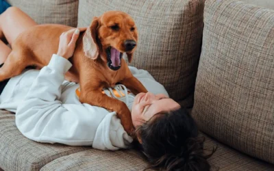 Cómo enseñar a un perro su nombre