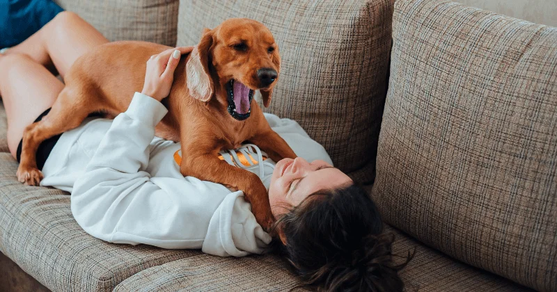 Mujer tumbada en el sofá con su perro encima, simbolizando el vínculo afectivo tras aplicar técnicas sobre cómo enseñar a un perro su nombre