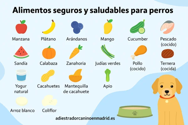 ¿Qué frutas son buenas para los perros? Infografía con frutas y alimentos seguros para perros como manzana, plátano, arándanos y sandía