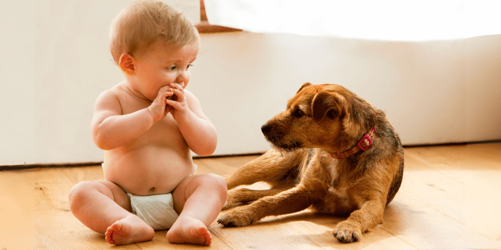 Un perro y un bebé en el suelo, reflejando cómo los perros son celosos cuando aparece un nuevo miembro en la familia